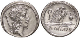 ROMANE REPUBBLICANE - CASSIA - Q. Cassisus Longinus (55 a.C.) - Denario B. 7; Cr. 428/3 (AG g. 3,79) Due piccole contromarche al D/ - Ottimo esemplare...