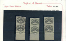 AREA ITALIANA - VATICANO - Segnatasse 1946 - Carta grigia - (14 I, 16 I e 18 I) - Coppia - Cert. Caffaz, Cat. 1100