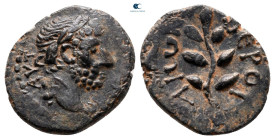Cyrrhestica. Beroea. Hadrian AD 117-138. Bronze Æ