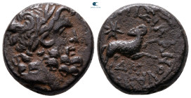 Seleucis and Pieria. Antioch. Pseudo-autonomous issue. Time of Augustus 27 BC-AD 14. Bronze Æ