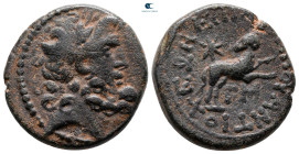 Seleucis and Pieria. Antioch. Pseudo-autonomous issue. Time of Augustus circa 27 BC-AD 14. Bronze Æ