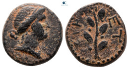 Seleucis and Pieria. Antioch. Pseudo-autonomous issue AD 54-68. Bronze Æ