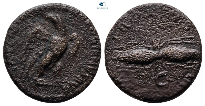 Hadrian AD 117-138. Rome
Quadrans Æ

17 mm, 2,50 g



nearly very fine