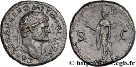 DOMITIANUS
Type : Sesterce 
Date : 73 
Mint name / Town : Rome 
Metal : copper 
Diameter : 32  mm
Orientation dies : 6  h.
Weight : 25,19  g.
Rarity :...