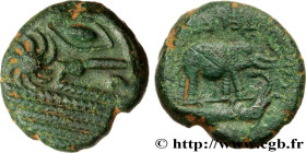 GALLIA BELGICA - BELLOVACI (Area of Beauvais)
Type : Statère de bronze à l’éléphant C.VILI - TELEDHI 
Date : c. 80-50 AC. 
Mint name / Town : Beauvais...
