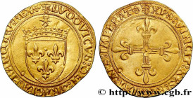 LOUIS XII, FATHER OF THE PEOPLE
Type : Écu d'or au soleil 
Date : 25/04/1498 
Date : n.d. 
Mint name / Town : Saint-Lô 
Metal : gold 
Millesimal finen...
