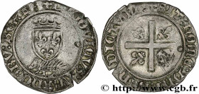 LOUIS XII, FATHER OF THE PEOPLE
Type : Douzain au porc-épic 
Date : 19/11/1507 
Mint name / Town : Tours 
Metal : billon 
Millesimal fineness : 359  ‰...