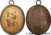 THE CONVENTION
Type : Médaille de Palloy, La République 
Date : 1793 
Metal : gilt metal 
Diameter : 52,5  mm
Weight : 39,35  g.
Edge : lisse 
Puncheo...