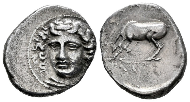 Thessaly. Larissa. Drachm. 356-320 BC. (Bcd-Thessaly II 288). (Hgc-4,452). Anv.:...