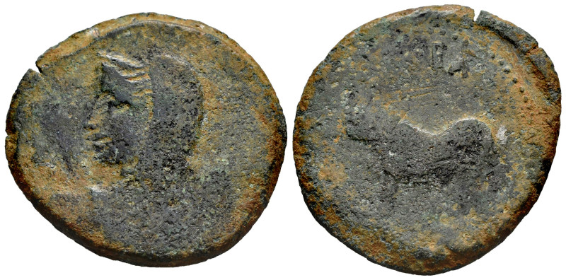 Bora. Unit. 100-50 BC. Alcaudete (Jaén). (Abh-289). (Acip-2309). Anv.: Female bu...