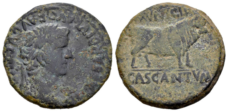 Cascantum. Time of Tiberius. Unit. 14-36 d.C. Cascante (Navarra). (Abh-691). Anv...