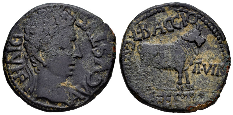 Kelse-Celsa. Augustus period. Unit. 27 BC - 14 AD. Velilla de Ebro (Zaragoza). (...