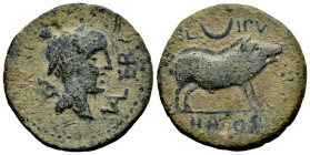 Halos. Unit. 50 BC. Osuna (Sevilla). (Abh-1393). Anv.: Head of Mercury right, caduceus behind, VAL. TER before. Rev.: Boar right, crescent between IL....