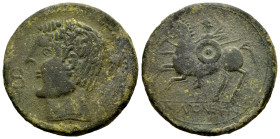 Ikalkusken. Unit. 120-20 BC. Iniesta (Cuenca). (Abh-1416). Anv.: Male head left, caduceus before, dolphin behind. Rev.: Horseman left, holding spear, ...