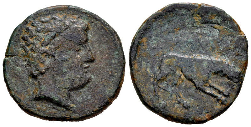 Iltirta. Unit. 200-20 BC. Lleida (Cataluña). (Abh-1475). (Acip-1271). Anv.: Male...