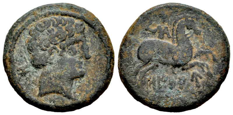 Oilaunikos-Oilaunes. Unit. 120-20 BC. North area of Ebro. (Abh-1868). Anv.: Male...