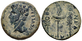 Colonia Patricia. Augustus period. Dupondius. 27 BC - 14 AD. Córdoba. (Abh-1988). Anv.: (PERMISSV. CAESARIS.) AVGVSTI. around head of Augustus left. R...