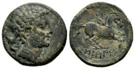 Sekaisa. Half unit. 120-20 BC. Area of Aragon. (Abh-2141). (Acip-1530). (C-9). Anv.: Male head right, lioness behind. Rev.: Horse right, iberian legen...