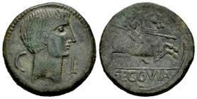 Segovia. Unit. 30-20 BC. Segovia. (Abh-2193). (Acip-1867). Anv.: Head of Augustus right, C. L on the sides. Rev.: Horseman right, holding spear, SEGOV...