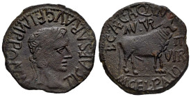 Turiaso. Augustus period. Unit. 27 BC - 14 AD. Tarazona (Zaragoza). (Abh-2454). Anv.: TI. CAESAR. AVGVST. F. IMPER. around laureate head of Tiberius r...