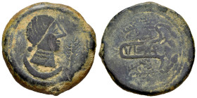 Ulia. Unit. 50 BC. Montemayor (Córdoba). (Abh-2493). Anv.: Female head right, ear of corn before, crescent below. Rev.: Vine branches with straighter ...