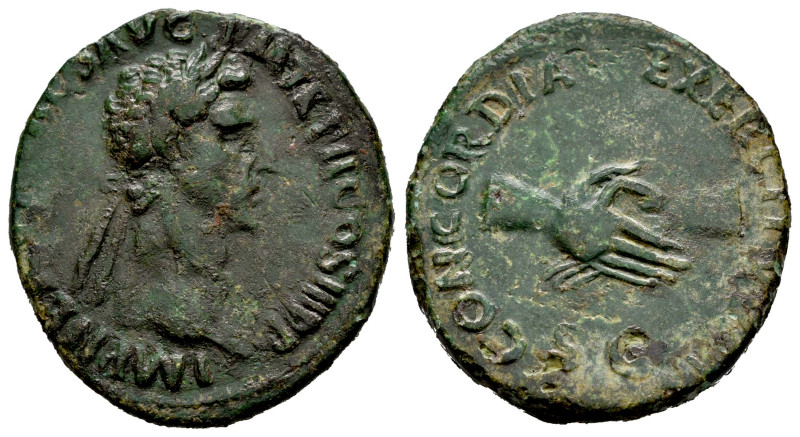 Nerva. Unit. 97 AD. Rome. (Ric-II 79). (Bmcre-128). (C-21). Anv.: IMP NERVA CAES...