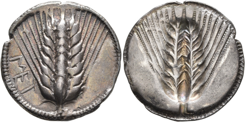 LUCANIA. Metapontion. Circa 540-510 BC. Stater (Silver, 28 mm, 8.15 g, 1 h). MET...