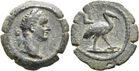 EGYPT. Alexandria. Domitian, 81-96. Dichalkon (Bronze, 14 mm, 1.55 g, 12 h), RY 10 = 90/1. Laureate head of Domitian to right. Rev. L I Ibis standing ...