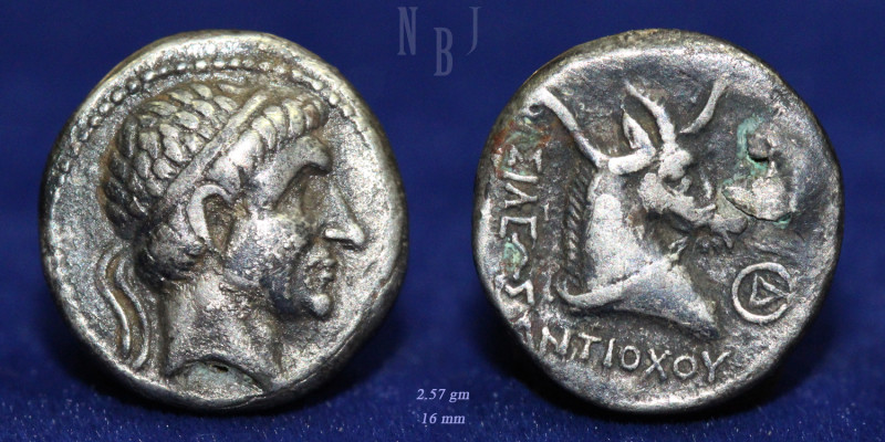 Antiochos I, Silver Drachm, c. 270 BCE, Diademed, bust of Antiochos right. horne...