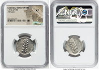 LUCANIA. Metapontum. Ca. 510-470 BC. AR stater (24mm, 12h). NGC XF. META, barley grain ears; guilloche border on raised rim / Incuse barley grain ears...
