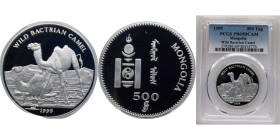 Mongolia Republic 1999 500 Tögrög (Wild Bactrian Carmel) Silver (.500) 19.82g PCGS PR 69 "Top Pop" KM196 Schön221