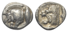 Mysien. Kyzikos.

 Diobol (Silber). Ca. 525 - 475 v. Chr.
Vs: Vorderteil eines Ebers links, dahinter Thunfisch nach oben.
Rs: Löwenkopf links in Q...