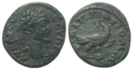 Thrakien. Philippopolis. Septimius Severus (193 - 211 n. Chr.).

 Bronze.
Vs: Büste mit Lorbeerkranz rechts.
Rs: Adler mit Kranz im Schnabel nach ...