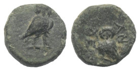 Karien. Antiochia am Mäander. Pseudo-autonome Prägung.

 Bronze. 2. Jhdt. n. Chr.
Vs: Eule nach rechts stehend, Kopf en face.
Rs: Eule nach links ...