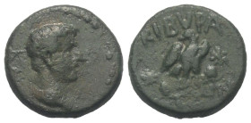 Phrygien. Kibyra. Augustus (31 v. - 14 n. Chr.).

 Bronze.
Vs: Kopf rechts.
Rs: Adler zwischen zwei Piloi mit seitlich versetztem Stern frontal st...
