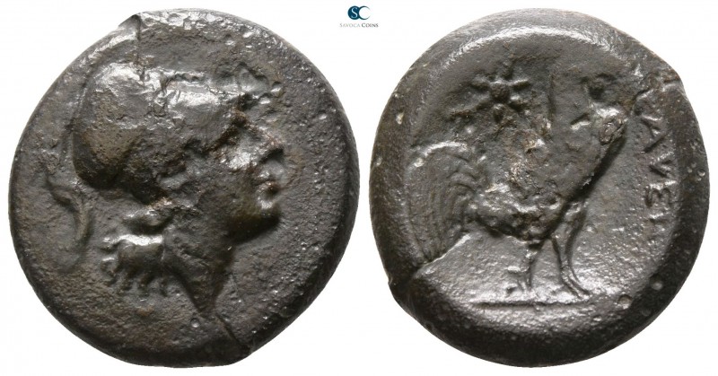 Campania. Cales circa 265-240 BC. 
Bronze Æ

18mm., 6,67g.



very fine