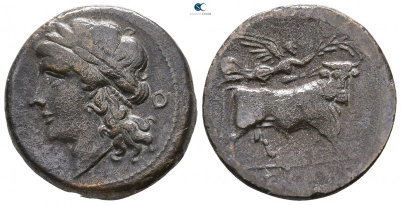 Campania. Neapolis 275-250 BC. 
Bronze Æ

18mm., 6,21g.



very fine