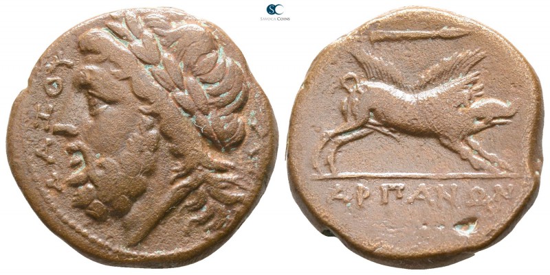 Apulia. Arpi 325-275 BC. 
Bronze Æ

20mm., 7,43g.



very fine
