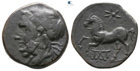 Apulia. Arpi 325-275 BC. Bronze Æ