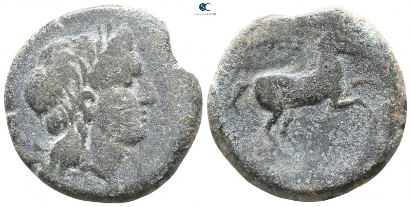 Apulia. Salapia 225-210 BC. 
Bronze Æ

21mm., 8,87g.



nearly very fine,...