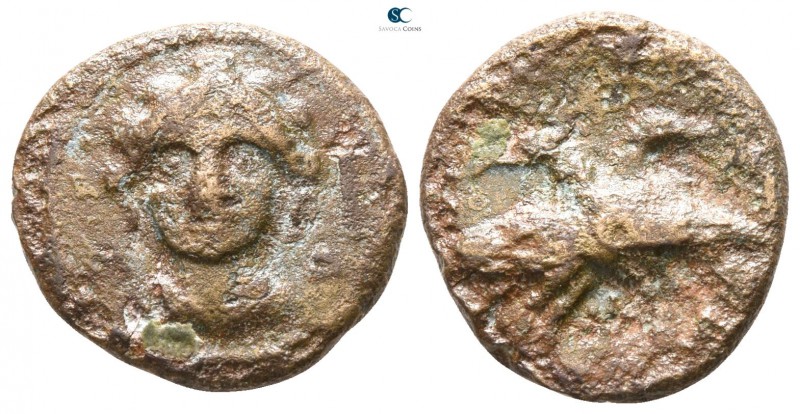 Lucania. Laos 350-300 BC. 
Bronze Æ

15mm., 2,97g.



nearly very fine