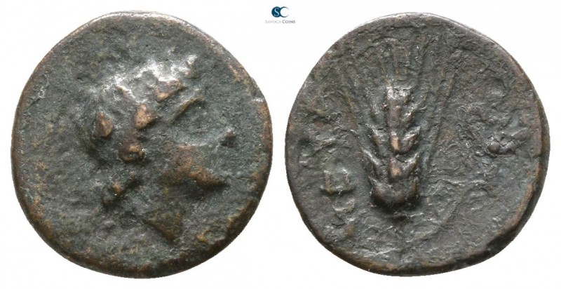 Lucania. Metapontion circa 400-200 BC. 
Bronze Æ

10mm., 0,90g.



very f...
