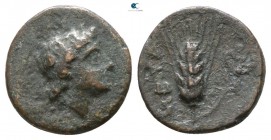 Lucania. Metapontion circa 400-200 BC. Bronze Æ
