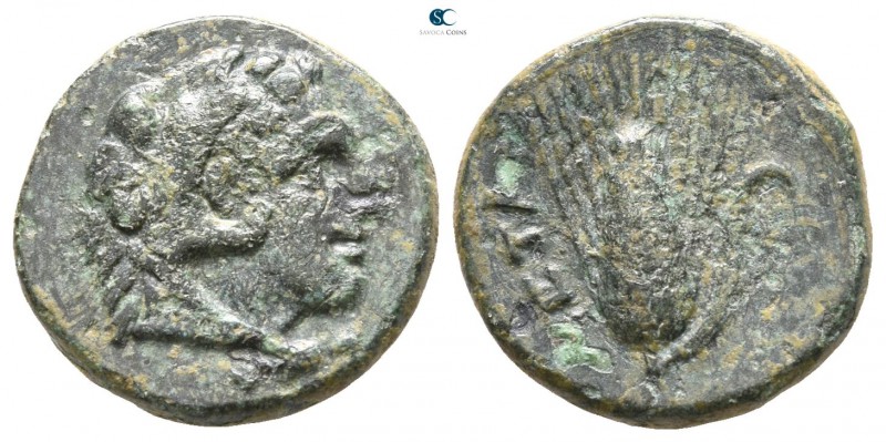 Lucania. Metapontion circa 300-250 BC. 
Bronze Æ

13mm., 2,65g.



very f...