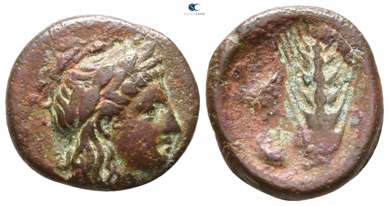Lucania. Metapontion circa 400-200 BC. 
Bronze Æ

15mm., 2,81g.



very f...