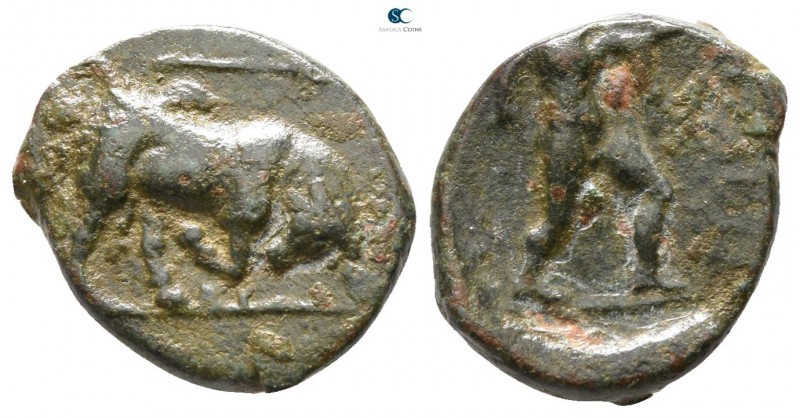Lucania. Poseidonia 350-290 BC. 
Bronze Æ

13mm., 2,24g.



fine