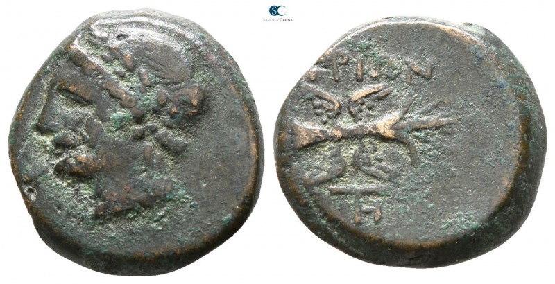 Lucania. Thourioi 280-213 BC. 
Bronze Æ

14mm., 3,49g.



nearly very fin...