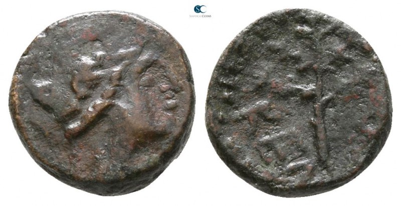 Sicily. Kentoripai after 241 BC. 
Bronze Æ

9mm., 1,13g.



very fine