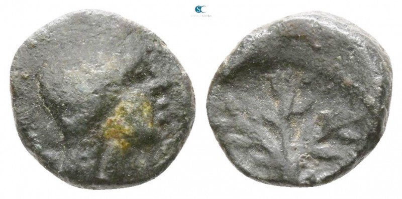 Sicily. Kentoripai after 241 BC. 
Bronze Æ

7mm., 0,72g.



very fine