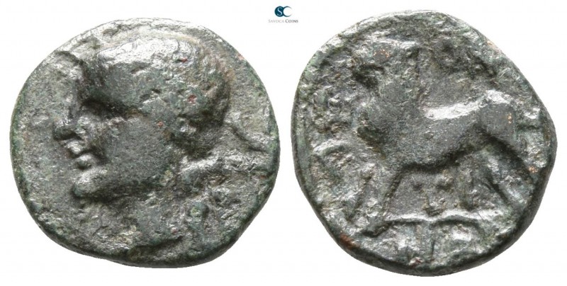 Sicily. Leontinoi 405-402 BC. 
Bronze Æ

12mm., 2,11g.



very fine